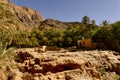 Morocco, Sousse Massa region, Aguinane oasis