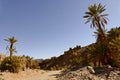 Morocco, Sousse Massa region, Aguinane oasis