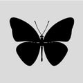 Butterfly Silhouette vectors images