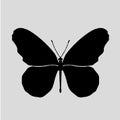 Butterfly Silhouette vectors images