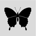 Butterfly Silhouette vectors images