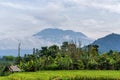Agung volcano eruption view near rice fields, Bali Royalty Free Stock Photo