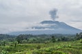 Agung volcano eruption view near rice fields, Bali Royalty Free Stock Photo