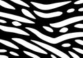 Black and white abstract psydelic wavy swish curves texture background Royalty Free Stock Photo