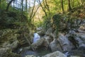 The Agura River. Sochi national park. Royalty Free Stock Photo