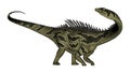Agustinia dinosaur - 3D render Royalty Free Stock Photo