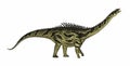 Agustinia dinosaur - 3D render Royalty Free Stock Photo