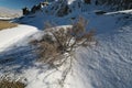 Ah-Shi-Sle-Pah Wilderness Study Area in winter ,New Mexico