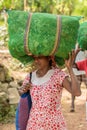 Women`s Workers in the he Handunugoda Tea Estate and Tea Museum. Ahangama, Sri Lanka