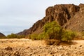 Aharhar Canyon. Illizi Province, Djanet, Algeria, Africa Royalty Free Stock Photo