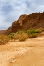 Aharhar Canyon. Illizi Province, Djanet, Algeria, Africa Royalty Free Stock Photo