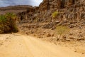 Aharhar Canyon. Tadrart mountains. Sahara Algerian Desert. Illizi Province, Djanet, Algeria, Africa