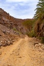 Aharhar Canyon. Tadrart mountains. Sahara Algerian Desert. Illizi Province, Djanet, Algeria, Africa