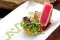 Ahi Tuna Royalty Free Stock Photo