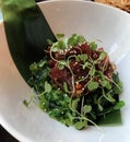 Ahi Tuna with Microgreens Royalty Free Stock Photo