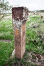 Ahlat Seljukian Cemetery. Seljuk Period Tombstones.