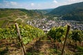 Village of Dernau in Germany`s Ahr Valley seen through grapevines