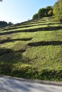 Bad Neuenahr-Ahrweiler, Germany - 10 19 2020: former vineyards terraces