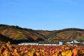 Rech, Germany - 11 06 2021: Winery in the vineyards during autumn