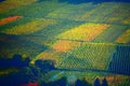 Bad Neuenahr-Ahrweiler, Germany - 10 19 2020: autumn vineyards in Ahrtal Royalty Free Stock Photo