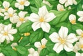 Fresh, beautiful white jasmine background.Cartoon Abstract art.AI Generated Royalty Free Stock Photo