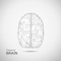Polygonal brain with connection line Royalty Free Stock Photo