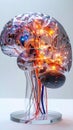 AI Brain - Illuminated Neural Network Technology Royalty Free Stock Photo