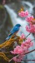 AI creates images of A bluebird perched on a pink cherry blossom tree.