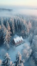 AI creates images of Drone photo of small cottage in forest, in a romantic foggy snowy landscape