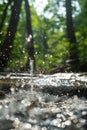 AI creates images of a fountain of water in a sunny,summer forest, dewy green grass, shiny reflective drops of water Royalty Free Stock Photo