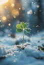 AI creates images of Four-leaf clover growing on snow-covered ground Royalty Free Stock Photo