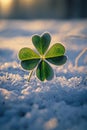 AI creates images of Four-leaf clover growing on snow-covered ground Royalty Free Stock Photo
