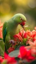 AI creates images of a green parrot