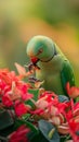 AI creates images of a green parrot