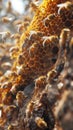 AI creates images of propolis, Beehive, with bees flying to the hive. To use flower pollen to produce nectar, honey Royalty Free Stock Photo