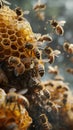 AI creates images of propolis, Beehive, with bees flying to the hive. To use flower pollen to produce nectar, honey Royalty Free Stock Photo