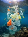 AI creates images of A tortoise confusion between plastic bags and jellyfish, tortoise,confusion, marine life,