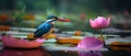 AI creates sharp images. A kingfisher catches a fish in a pink lotus pond. Sharp, colorful images Royalty Free Stock Photo