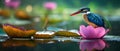 AI creates sharp images. A kingfisher catches a fish in a pink lotus pond. Sharp, colorful images Royalty Free Stock Photo