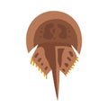 Horseshoe crab vector illustration Royalty Free Stock Photo