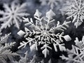 Close-up of some schematic intricate white snow crystals of different sizes on a gray background