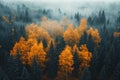 AI-generated aerial view of a misty forest with vibrant orange autumn foliage