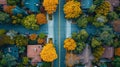 Sn aerial zenithal photograph of a residential neighborhood of a town created with Generative AI technology