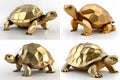 A lighting gold low polygon model of a turtle standing 4 styles on the white background.