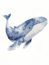 Ai Generated Watercolor Painting Of a Whale Pastel Soft Blue Colors Isolated On White Background