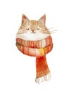 Ai Generated Watercolor Portrait Of Childish Sleepy Orange Cat in Red Scarf in Pastel Colors Isolated On White Background Royalty Free Stock Photo