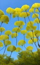 AI generated artistic illustration of ginkgo biloba leaves flying in a blue sky