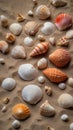 Assorted seashells and corals arranged on sandy surface.