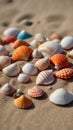 Assorted seashells and corals arranged on sandy surface.