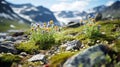 shot of a Tundra Landscape with low-growing plants, lichens, and rocks by AI generated